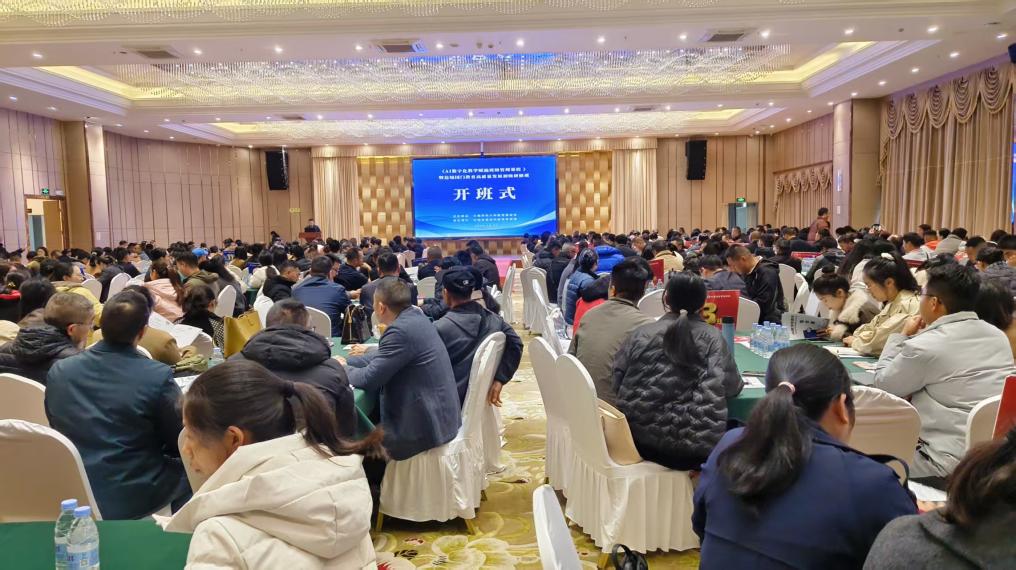 013de6543851aa484e174c1173728a1f