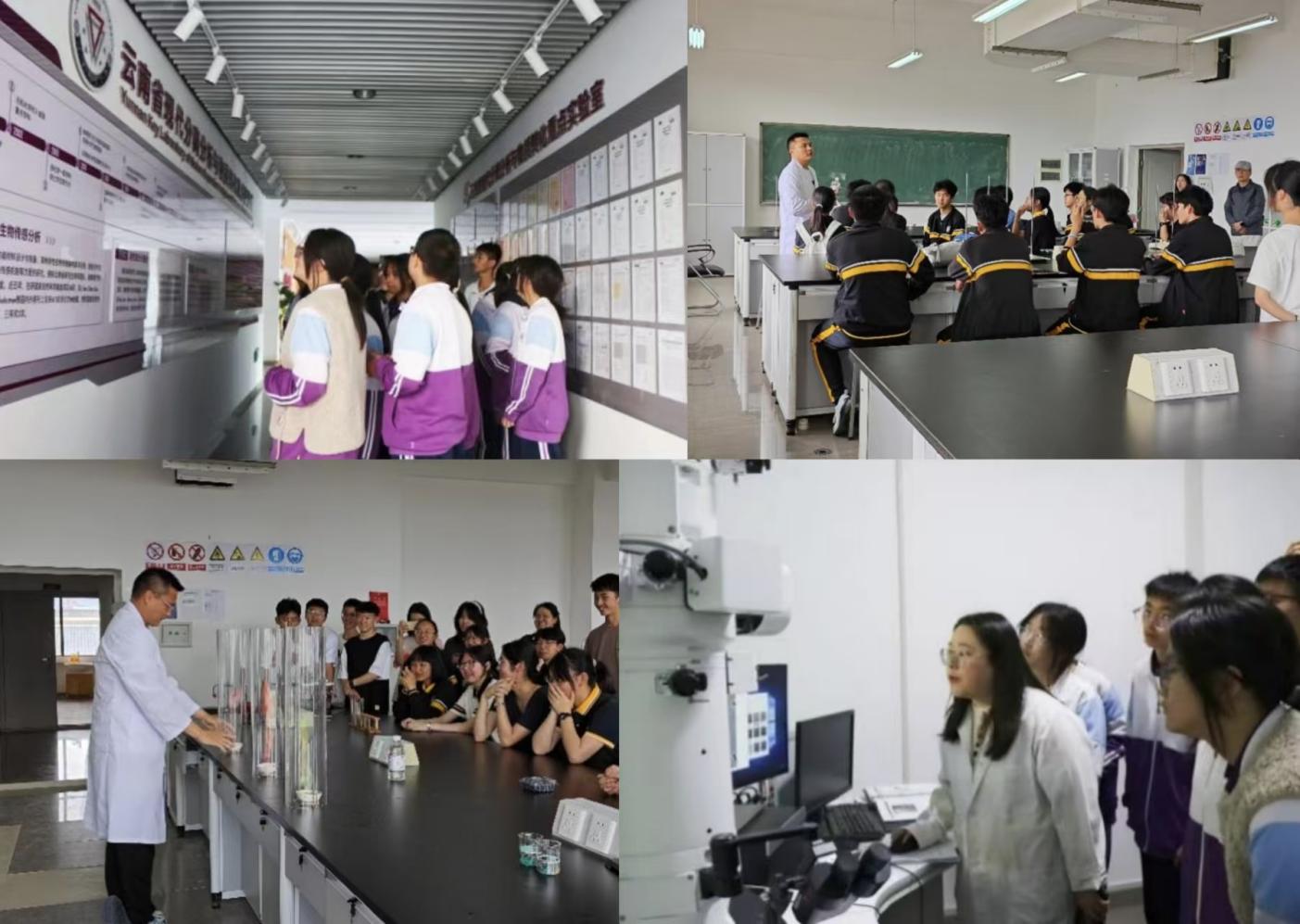 5cd06f56962fdf125cffc3dbe28c8341