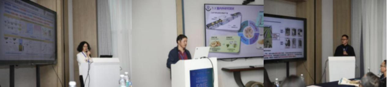 77b2e6ac0399a3fc97d2d5b21d4f13ca